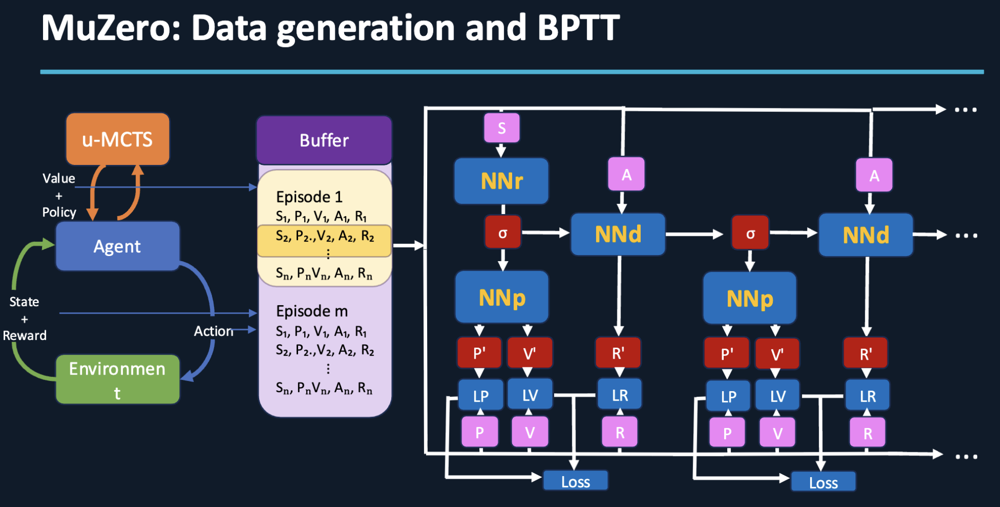 MuZero backpropagation through time
